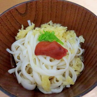 夏ですね♪梅ぶっかけうどん